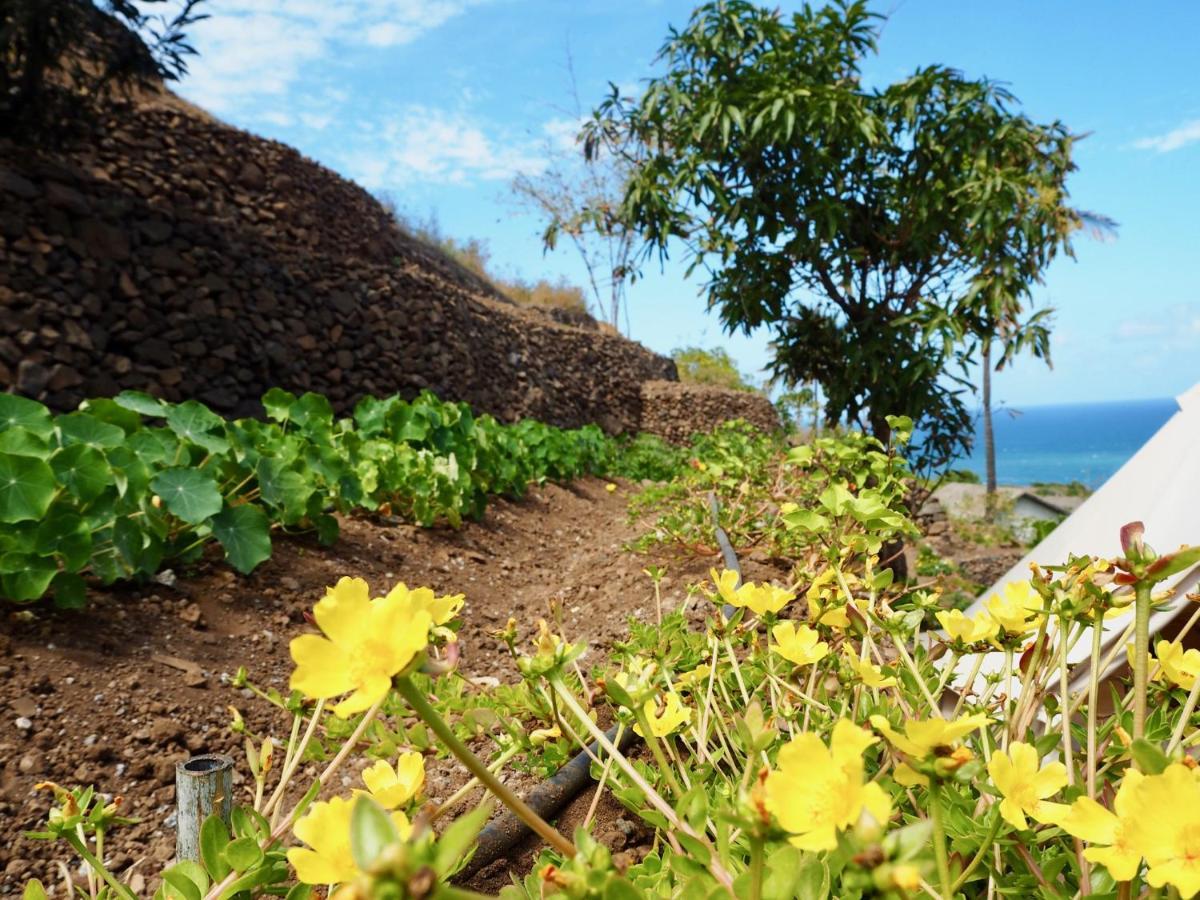 Ecolodge Kasa D'Igreja Cha da Igreja Ngoại thất bức ảnh