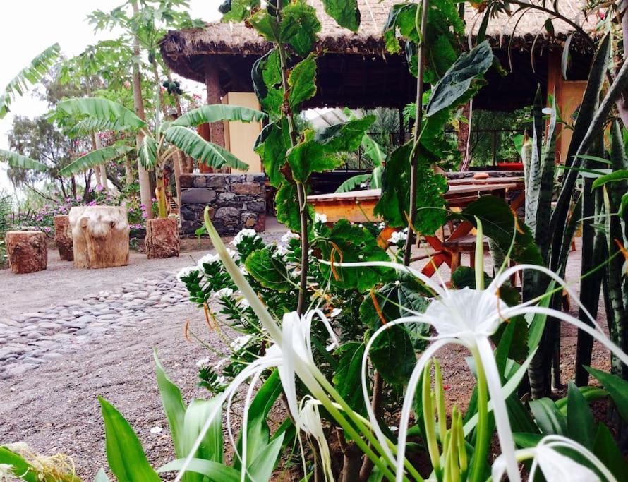 Ecolodge Kasa D'Igreja Cha da Igreja Ngoại thất bức ảnh