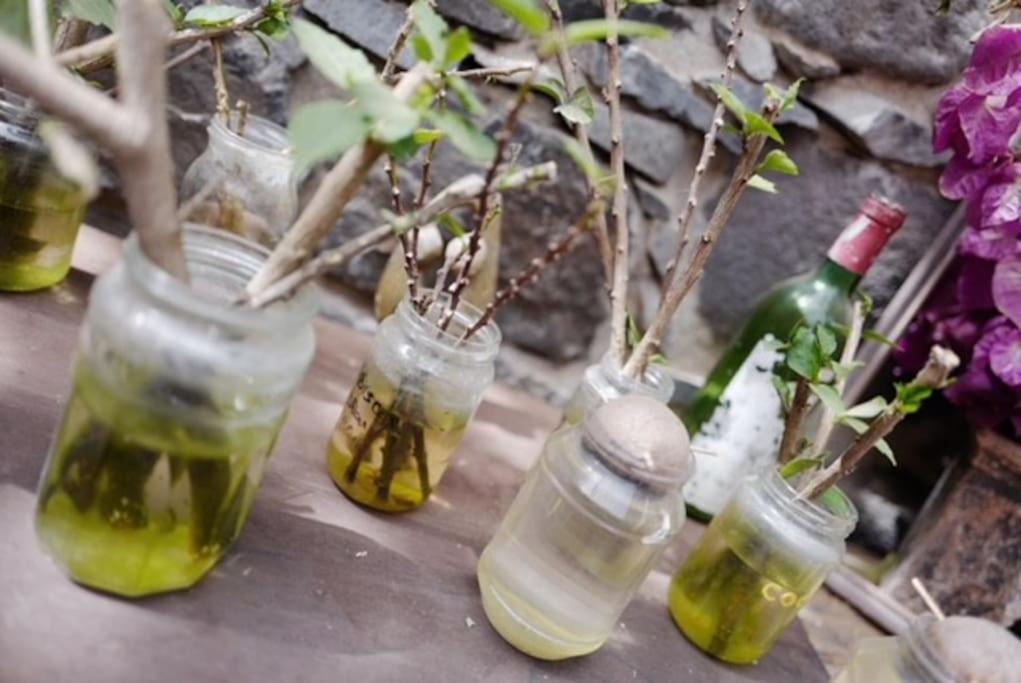 Ecolodge Kasa D'Igreja Cha da Igreja Ngoại thất bức ảnh
