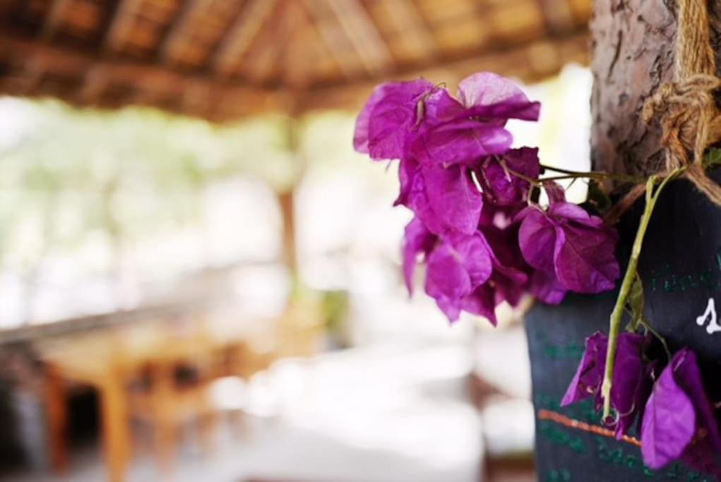 Ecolodge Kasa D'Igreja Cha da Igreja Ngoại thất bức ảnh