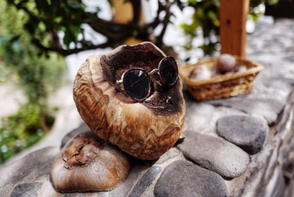 Ecolodge Kasa D'Igreja Cha da Igreja Ngoại thất bức ảnh