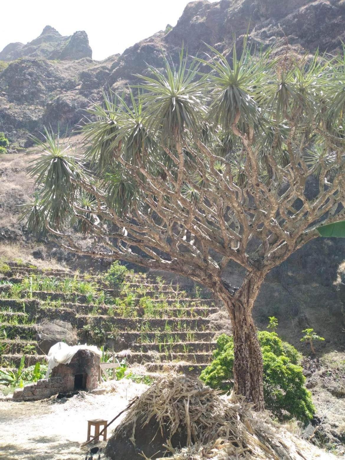 Ecolodge Kasa D'Igreja Cha da Igreja Ngoại thất bức ảnh